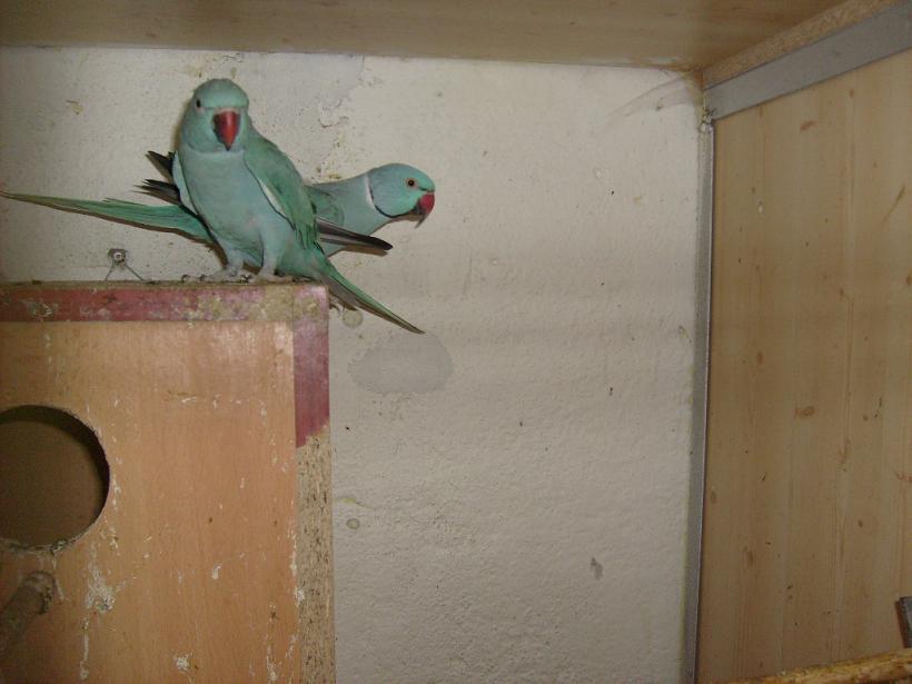 Snímek 003.jpg
